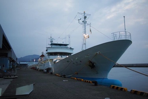 105554450_771313337019092_859095984956809792_n