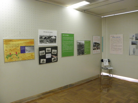 P8128755