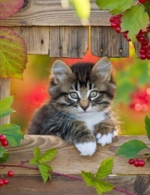 186546307_3952230054897581_2623904855327570603_n