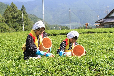 183597689_4541648569196614_1297698194026667081_n