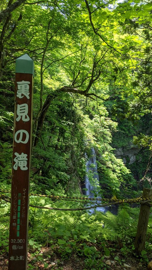 206858679_3965710530208149_5946694208841546333_n