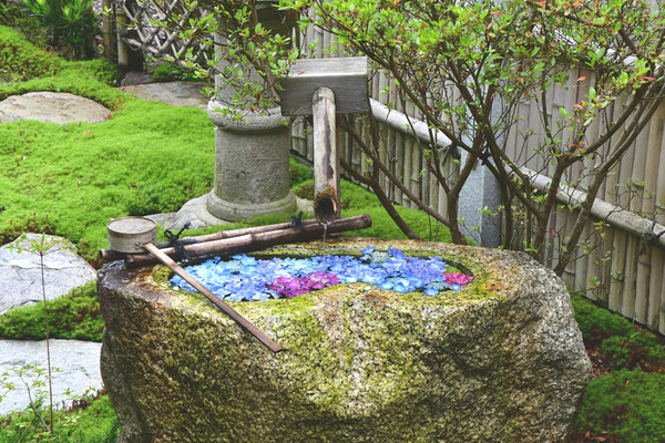 208478667_3767122223512253_726784845237856464_n