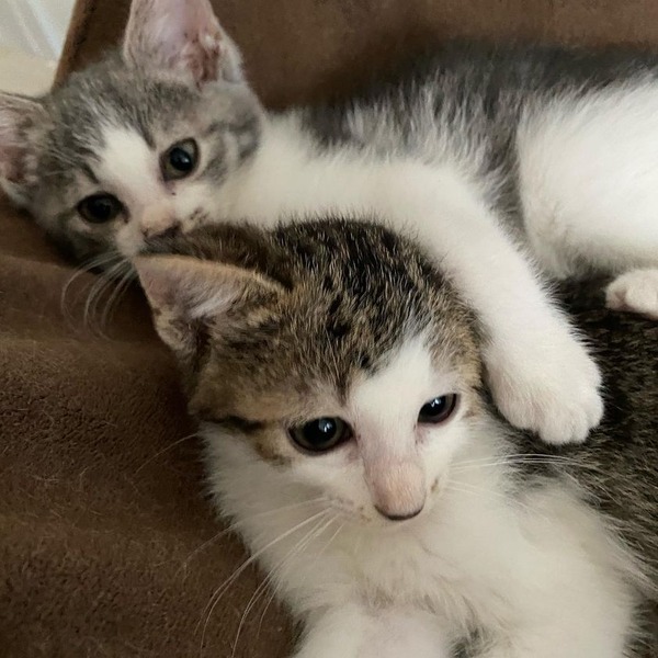 208451034_362810315204360_1405970750203068807_n