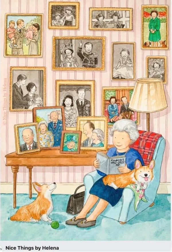 305956280_1507159919742766_5232670043630907203_n