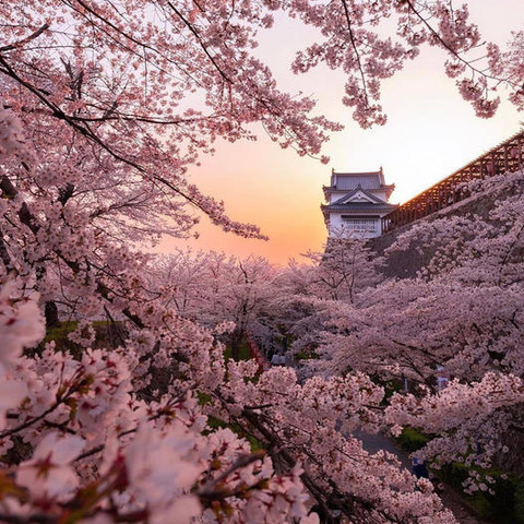 174625875_23847074448700481_8088803190627483327_n