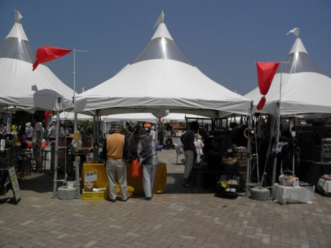 13064646_575074586005165_7075280284334022692_o