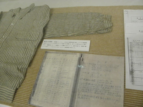 P8128761