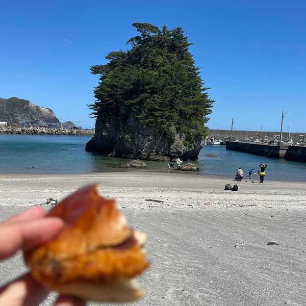 204588316_1235184900250635_4343027443495727153_n