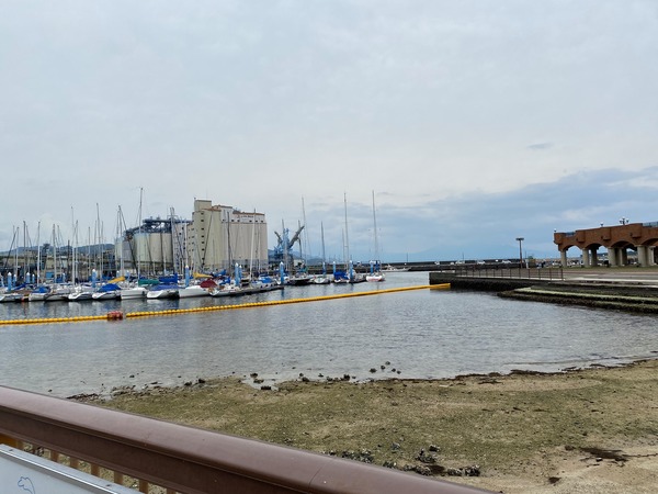 208444740_1664414587087026_6584703165022505644_n