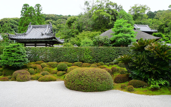 206768317_3768017490089393_661782887165549695_n