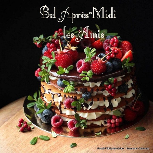 205919650_4358247320891997_2032083122053623516_n