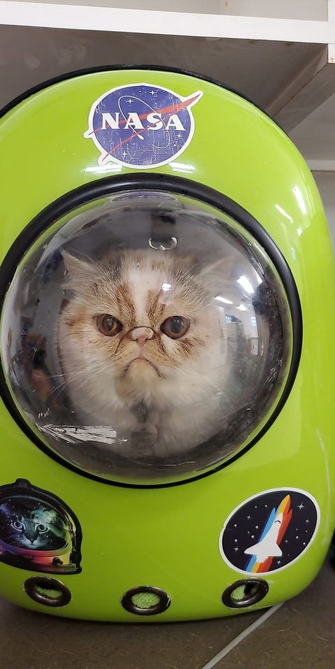 187144945_319945046363832_1174706566555341540_n