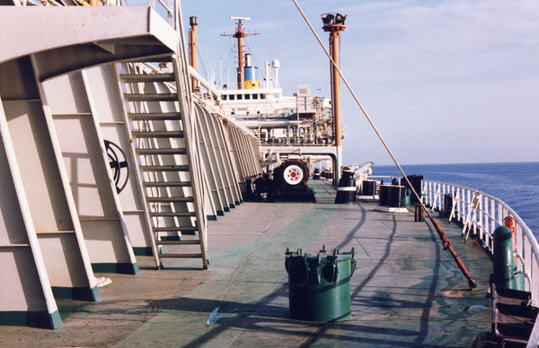 242087975_10226281061042151_7681289586533668999_n