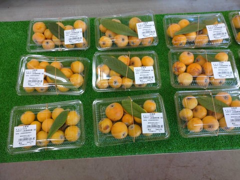 184580124_1931288160359767_816169271144044398_n