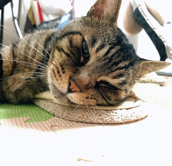 202669256_5941840622525156_140427786741309859_n