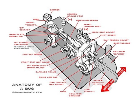 181862377_4689291651097744_2545575540765216663_n