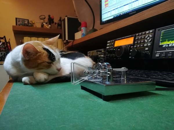 242171409_4178976555504252_2307602450291710031_n