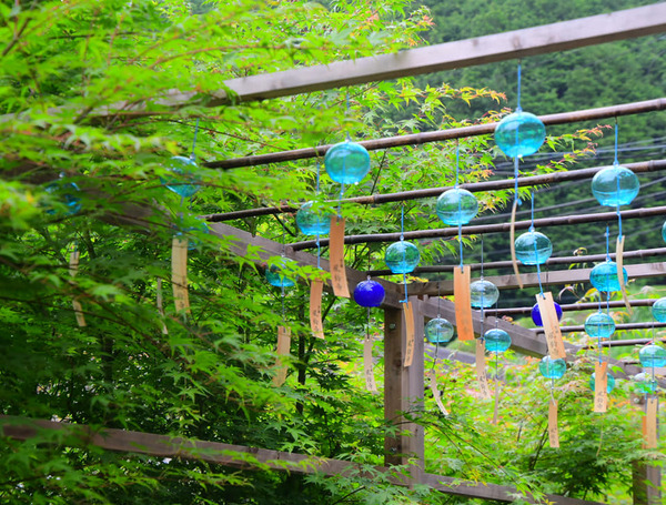 203981915_3767122150178927_7896479560926975505_n