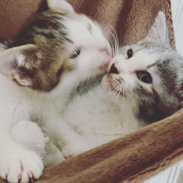 207616064_362022398616485_749420219909428547_n