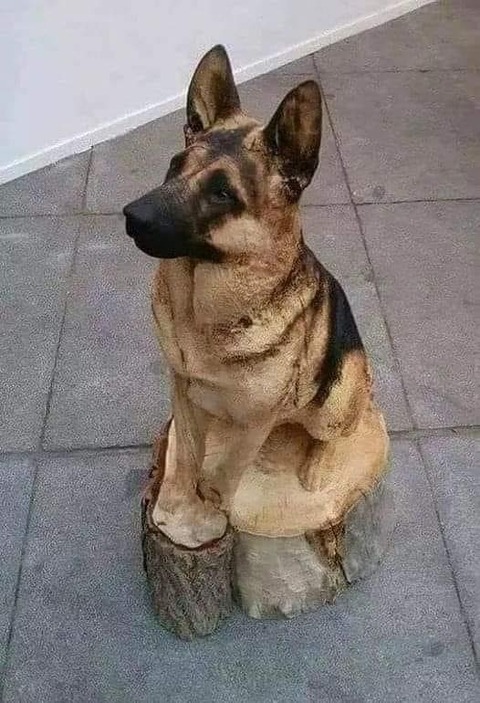 186535845_321227646028213_4554209718375595085_n