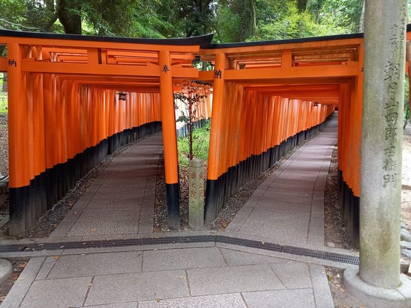 205883612_153693966823892_880146876836986456_n