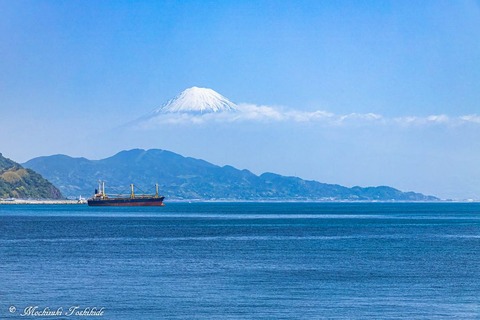 185198080_1771885322984251_4050746563699189480_n