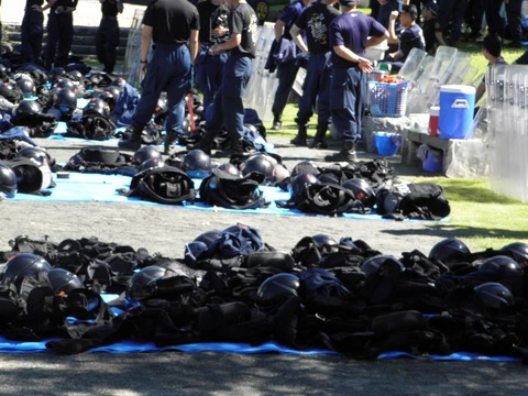 11722113_464884077024217_7064765359934693525_o