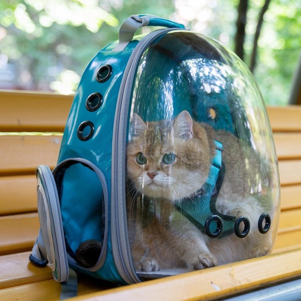 209783751_382376689918631_41418693216570552_n