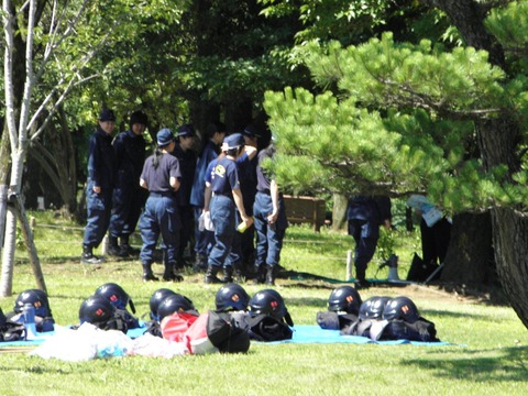 11011246_464886723690619_7875044661479234551_o