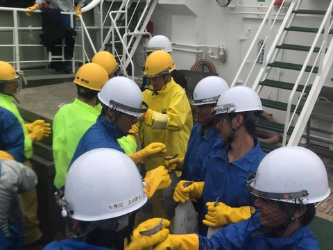 79842831_771313537019072_2759715297500919171_n