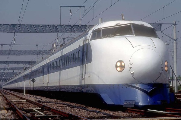 206069026_882157445845280_9071991596179147367_n