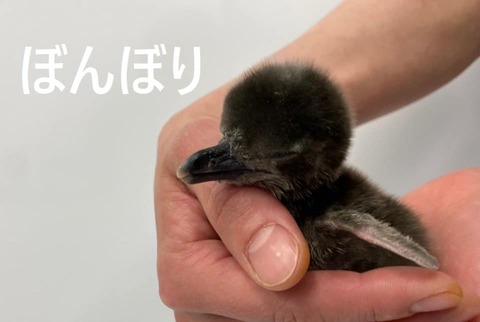 187029548_3794544500673214_7926068596525416013_n