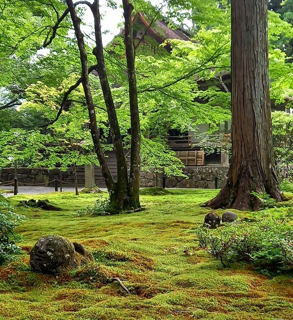 203902751_152961050230517_5511387227045416839_n