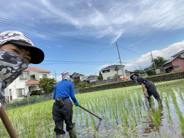 204557611_10158563270379055_374349509919809525_n