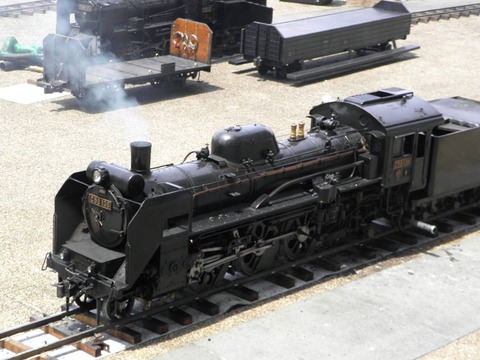 13217258_572771412902149_6909343089909333116_o