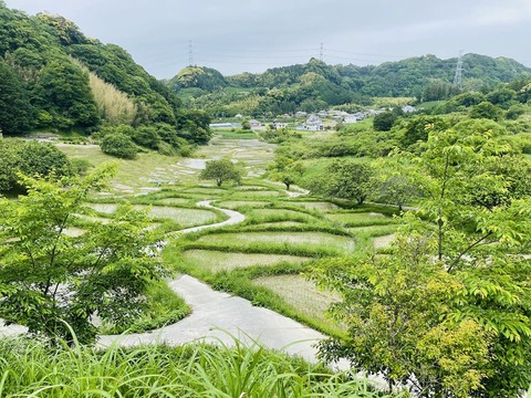 187436532_1722472111282034_5214993575002331094_n