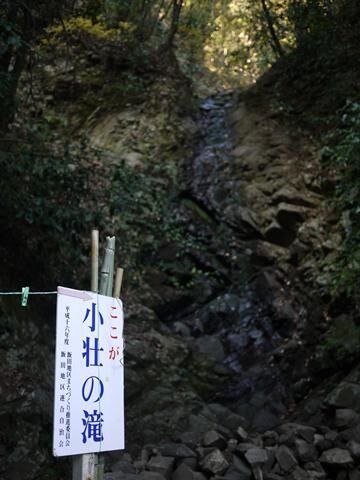 P1100174-007