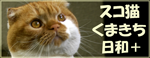 スコ猫くまきち日和+