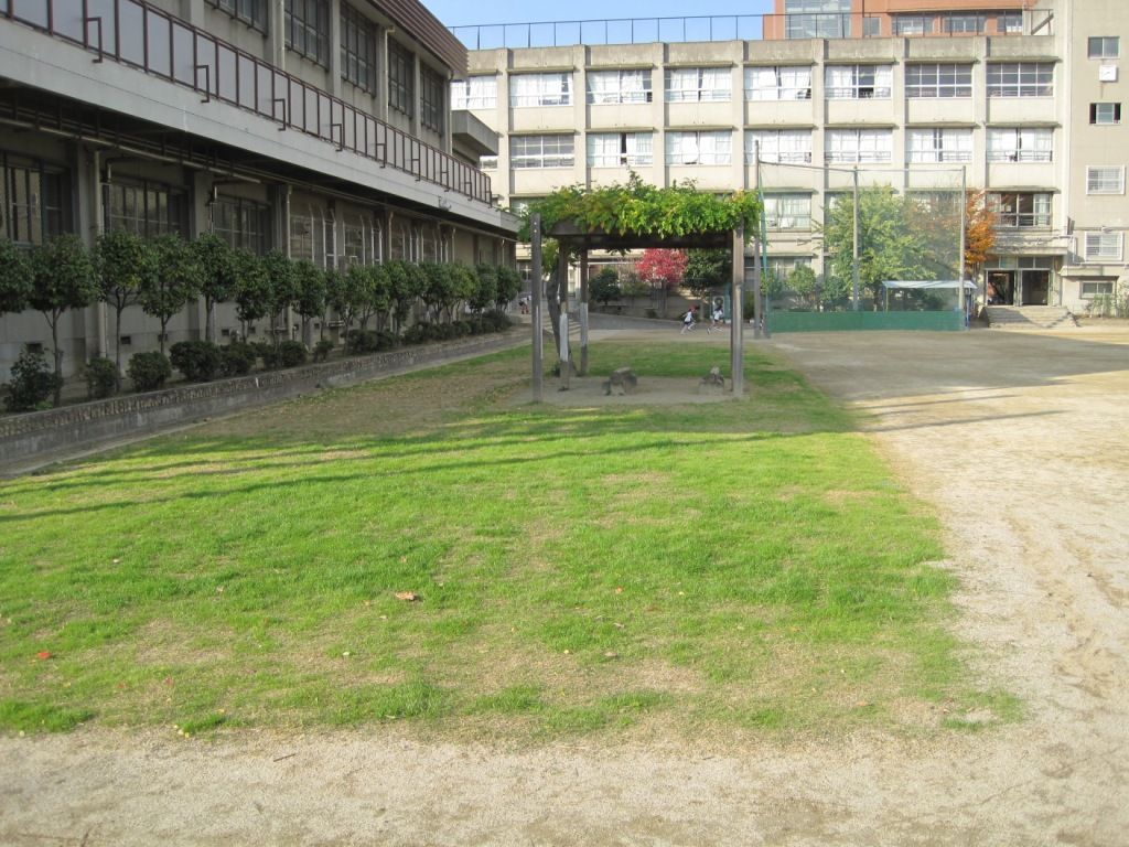 花の植えつけをしましたｉｎ西堤小学校 大阪府庁職員ブログ