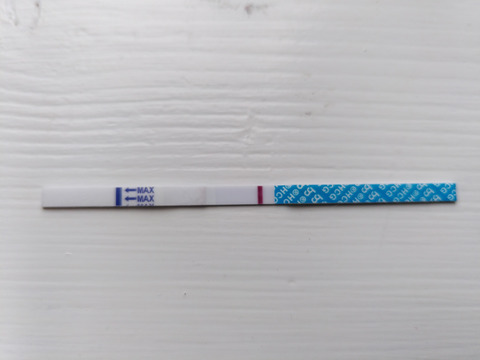 Femometer_m4_pregtest