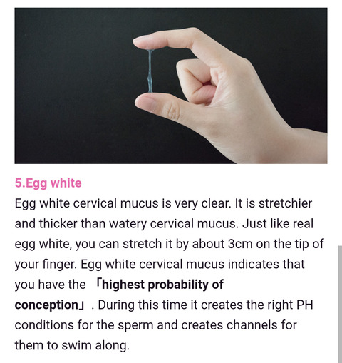 Femometer_m6＿CMexp5