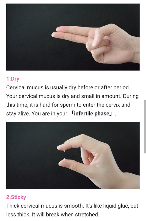 Femometer_m6＿CMexp3