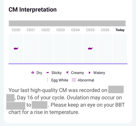 Femometer_m6＿CMinterpret