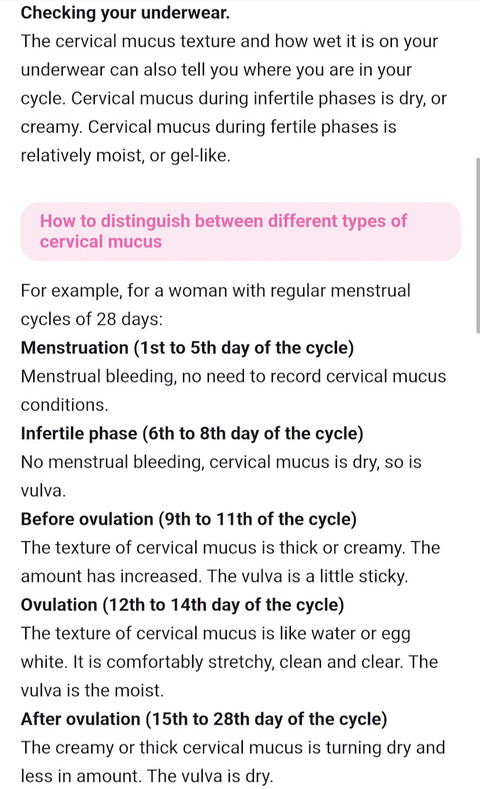 Femometer_m6＿CMexp2
