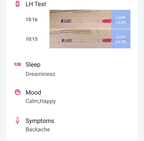 Femometer_log_m4_aft1-2
