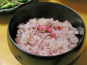 桜ご飯と桜づくし07 おさかなの国でベジタリアン 桜ご飯と桜づくし07 おさかなの国でベジタリアン
