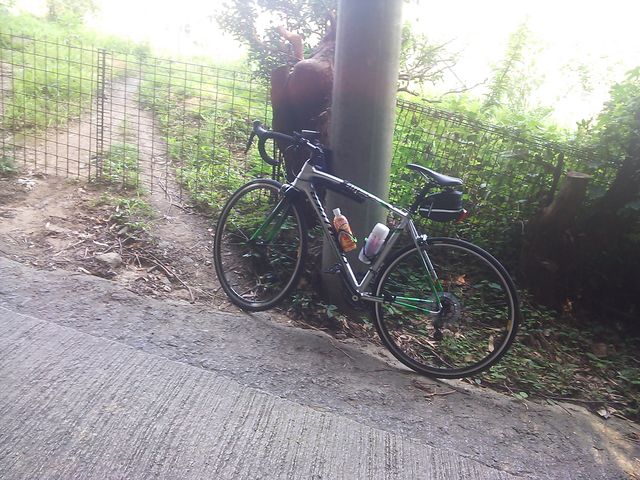 南河内 グリーン ロード 自転車