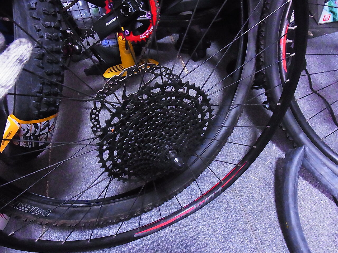 花見がてらmtbのタイヤ交換 りぅまるのにっき ツヴァイ 花見がてらmtbのタイヤ交換 りぅまるのにっき ツヴァイ