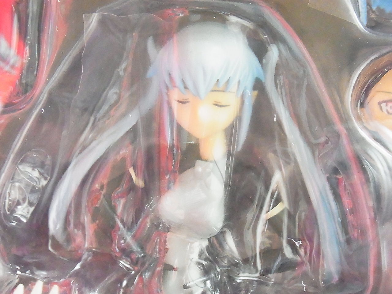 フィギュアの引越し りぅまるのにっき ﾂｳﾞｧｲ