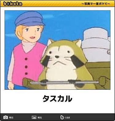 朗報 Bokete の最高傑作がガチで決まってしまうｗｗｗｗ なんなん アニメ漫画ゲームまとめ